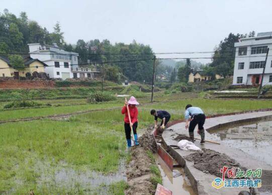 江西省万安县顺峰乡人口_万安县棉津乡公路图片