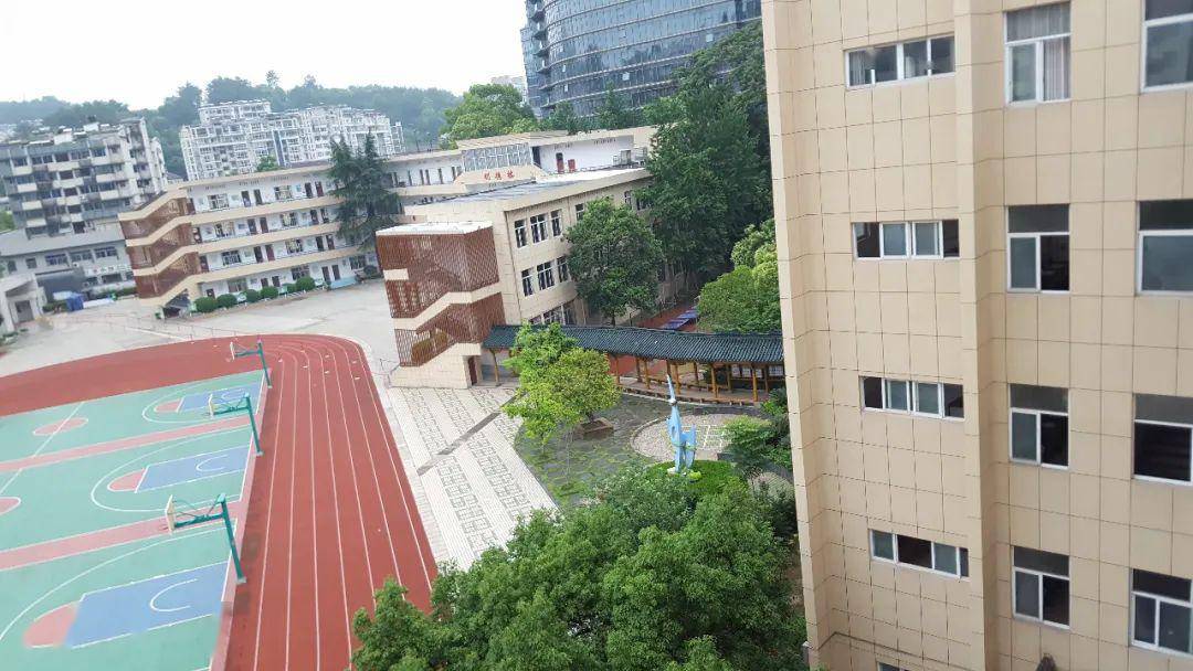2020年千岛湖镇第三小学一年级新生招生公告_工作