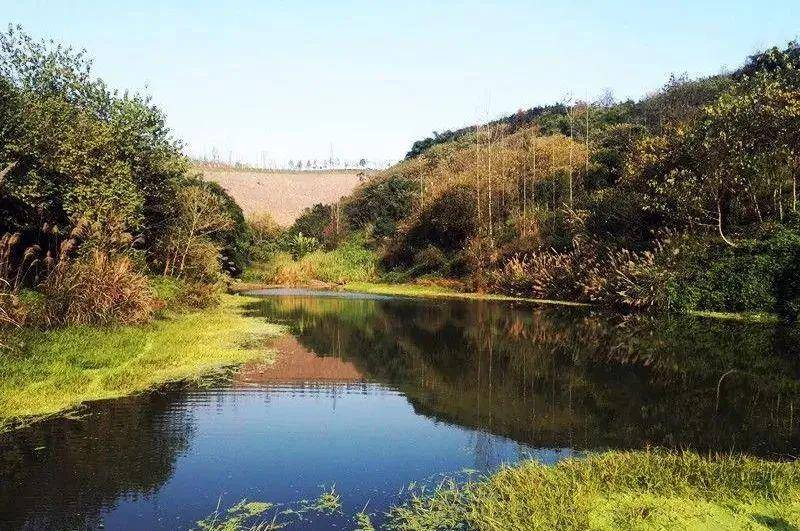 第三站 九曲河湿地公园 九曲河湿地公园,城区最大的湿地公园,水声潺潺