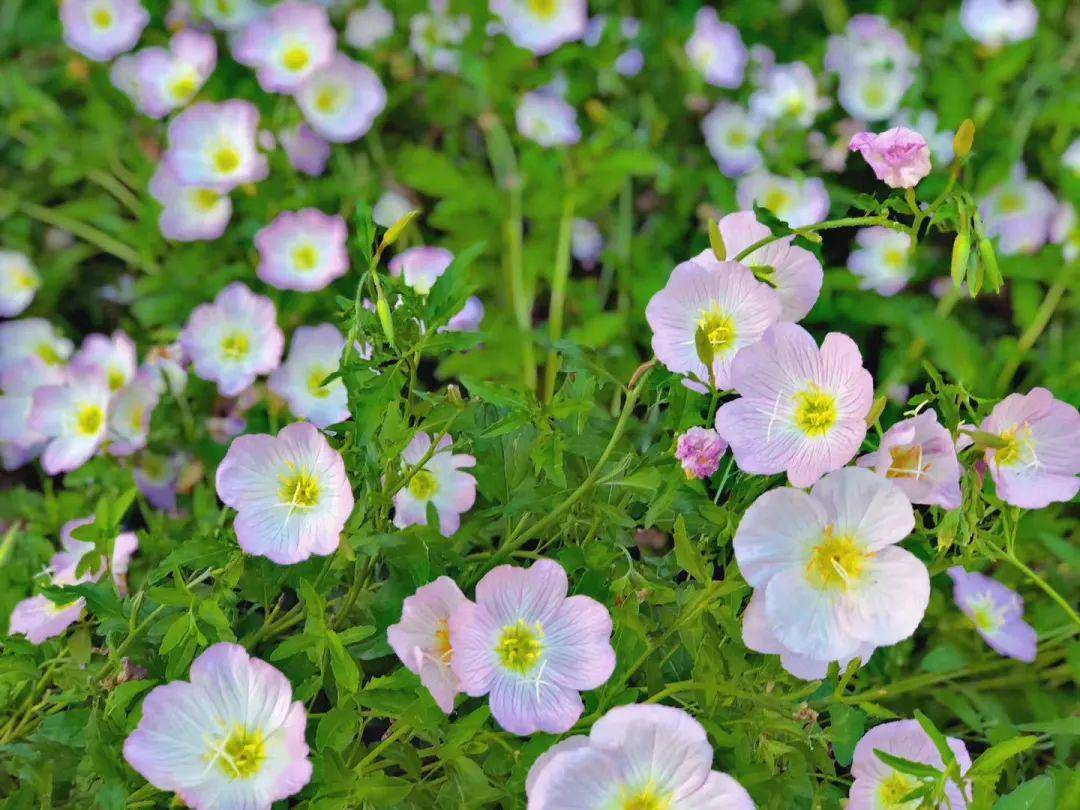 人生有度，好在适度，误在失度，坏在过度！_搜狐网