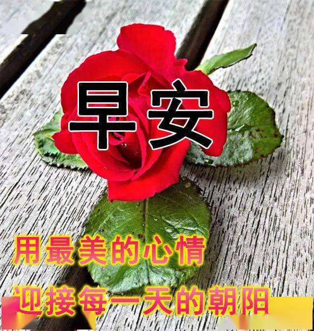 5月16日周六群发早上好问候祝福动态表情图片 5月最美