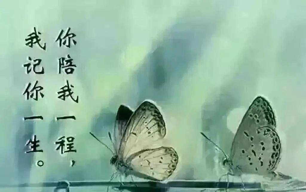 心情不好的伤感句子句句说到心坎上