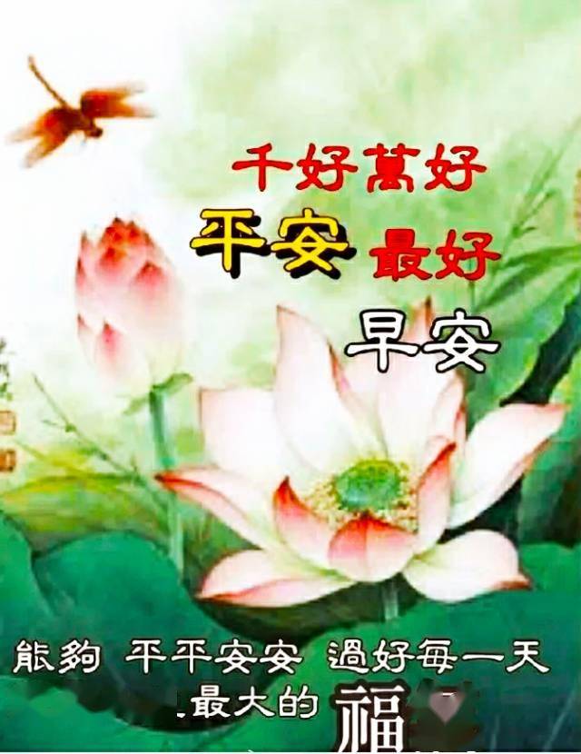 5张非常好看的夏天唯美温馨的早安图片带字