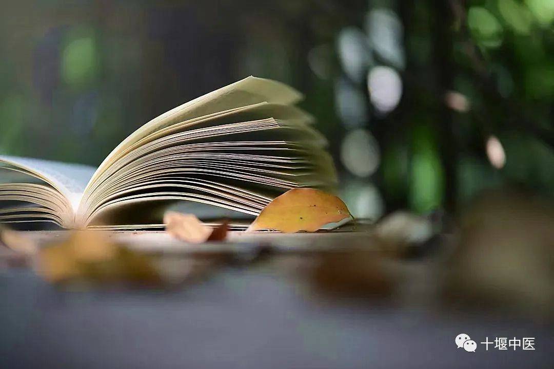 最成功的人生是什么 3fb0349e7f9b49228e53a5b4393fbcf8.jpeg