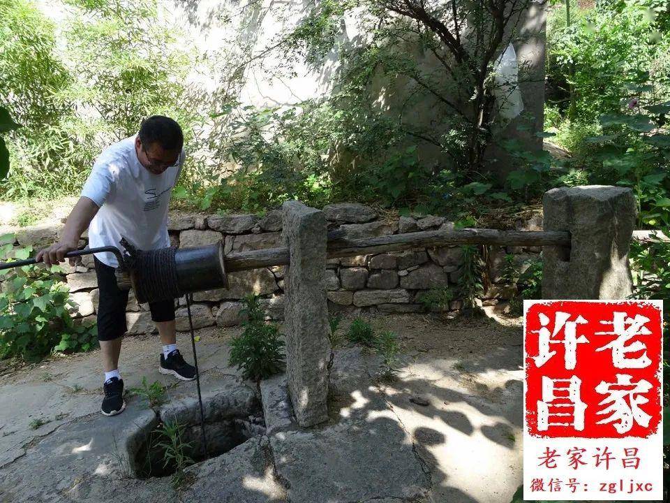 许昌啥村恁牛有36座山16条峡谷136棵古树梁耀国