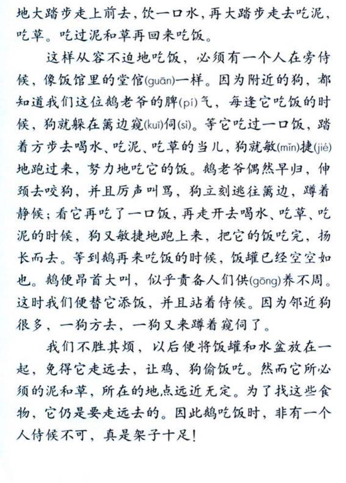 有声那些年我们一起学过的课文白鹅