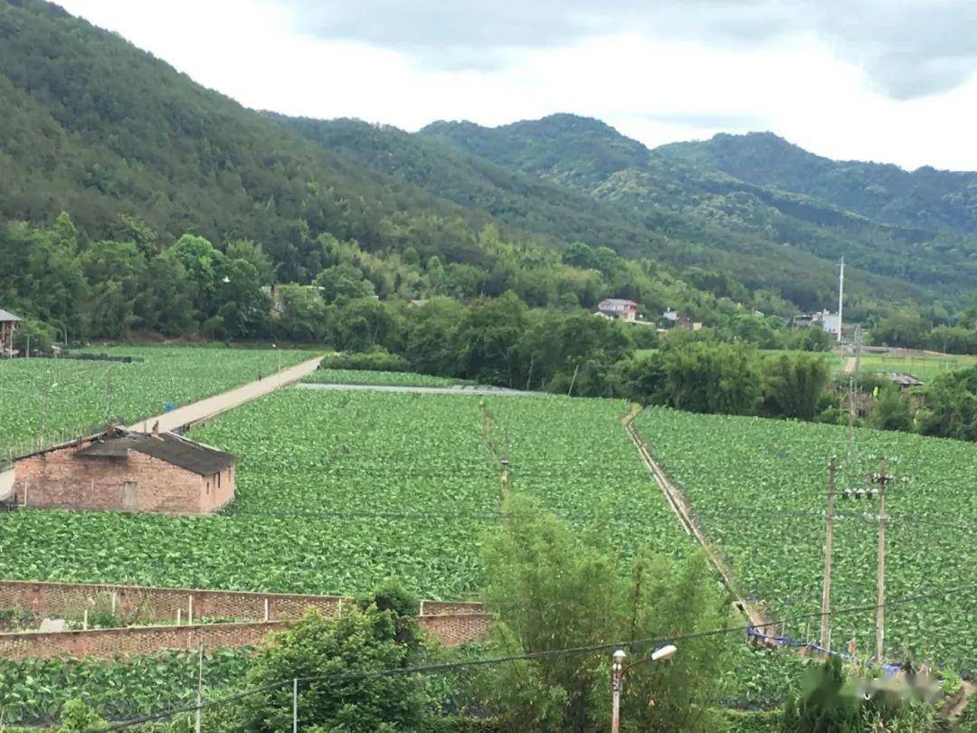 "小乡村"也有田园梦~武平处明忙筑河堤平田地修公路建廊桥.