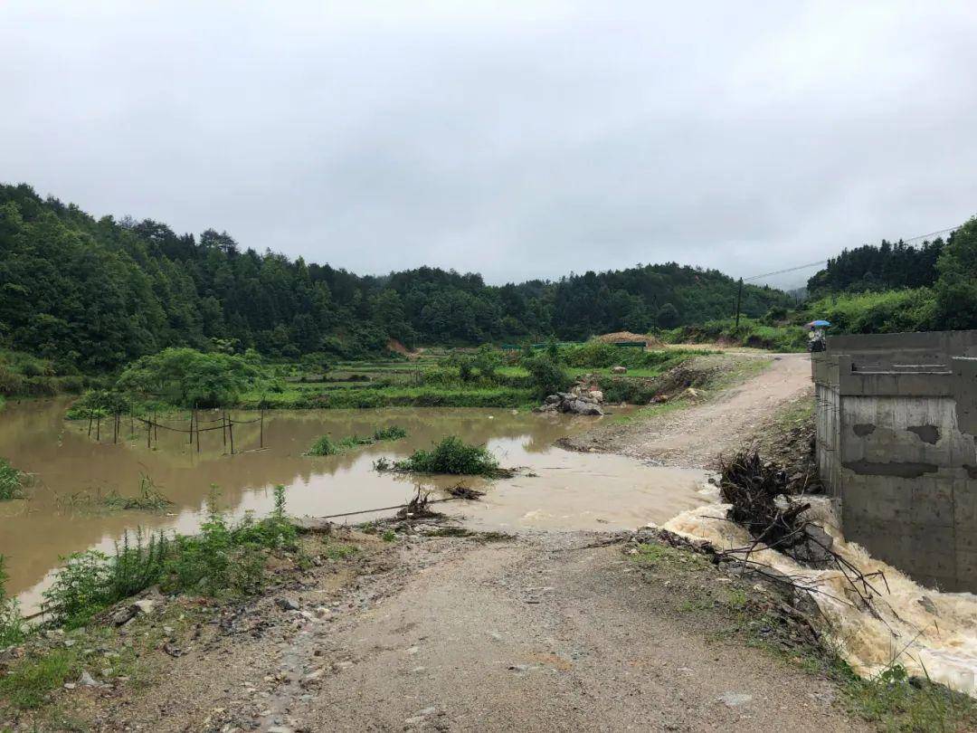 农田被毁山体滑坡强降雨致贵溪一夜受灾