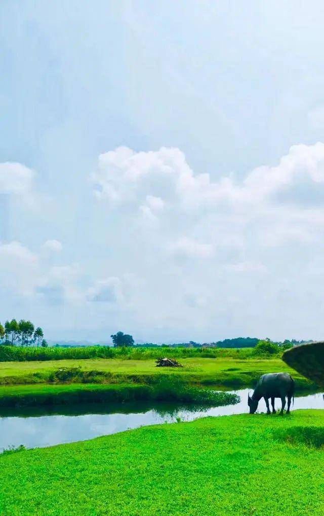 好水好风景!武鸣这个"世外桃源"你来过吗?