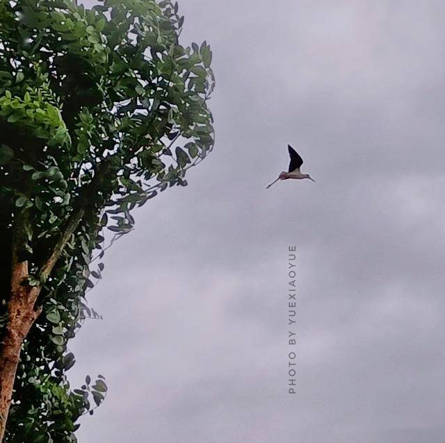 481c18090eb24e25b761adf7fb352105.jpeg