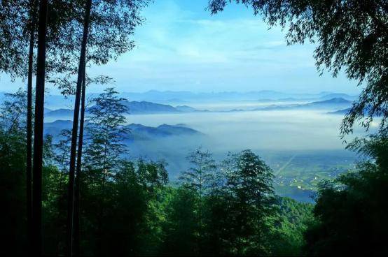 崇义阳明山国家森林公园,上堡梯田景区入选2020年百家"江西康养旅游
