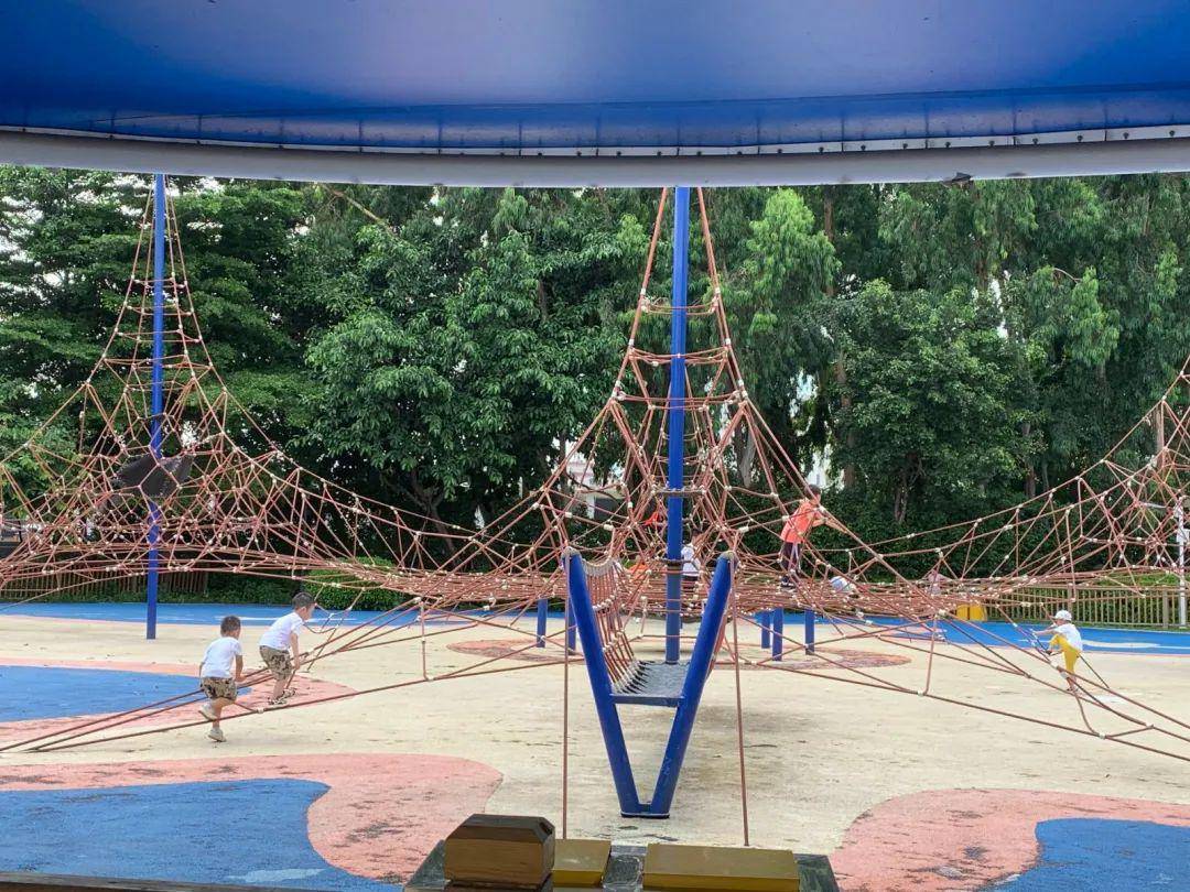 海珠儿童公园从6月1日起开放拓展区!每天开放四场次,每场次限流150人