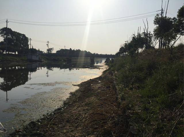 什么夜解惑成语_成语故事图片