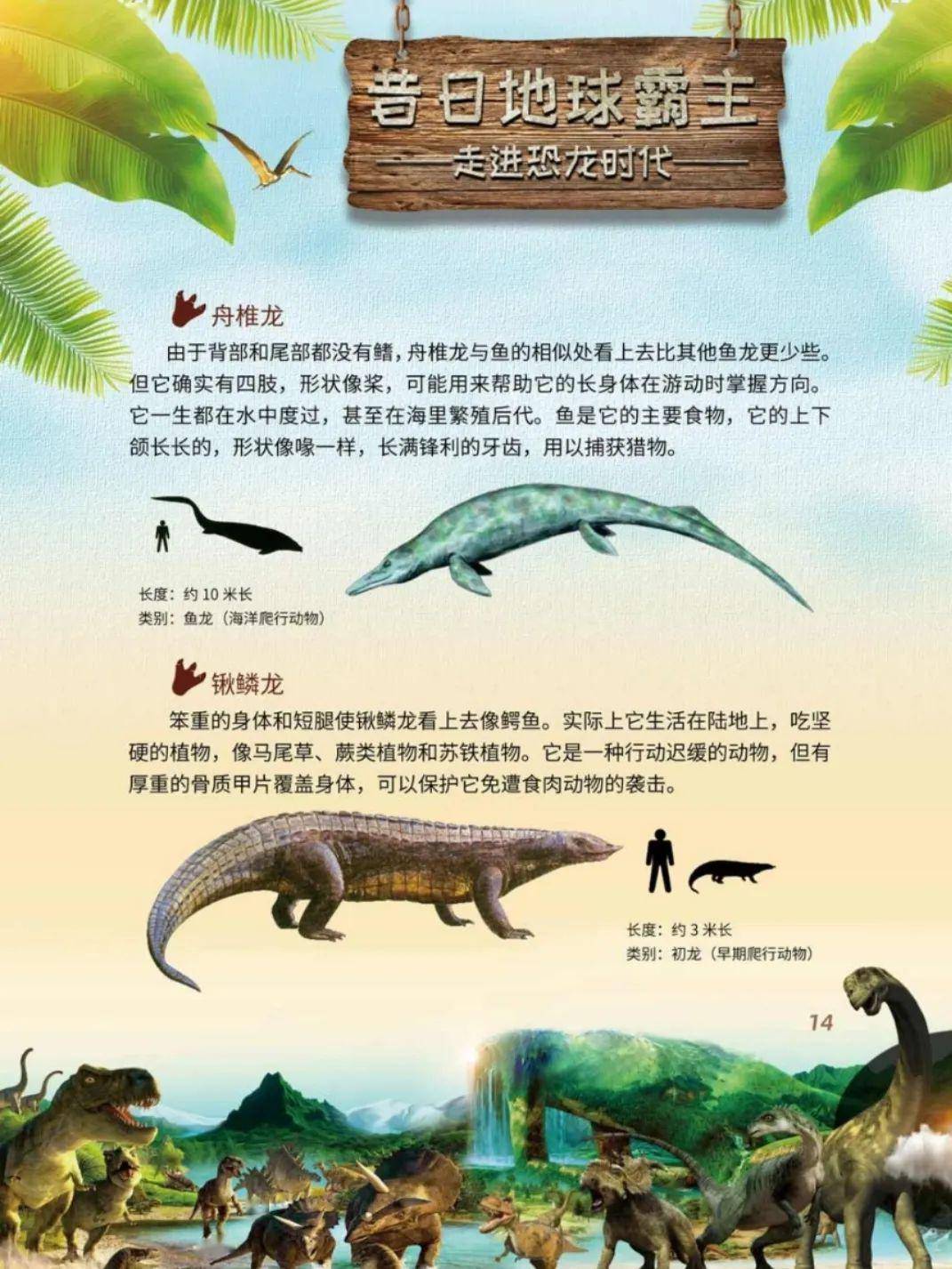 舟椎龙 锹鳞龙