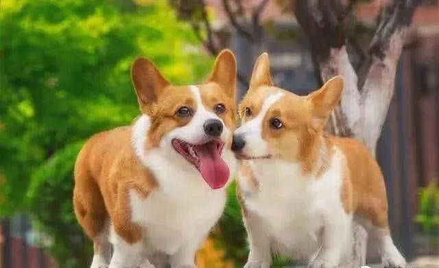 cae9b93fadb6445c8238f4707c19c65a.jpeg