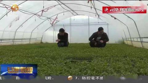 西和县小考成绩排名_欧阳坚在西和调研时强调高标准严要求夺取脱贫验收(2)