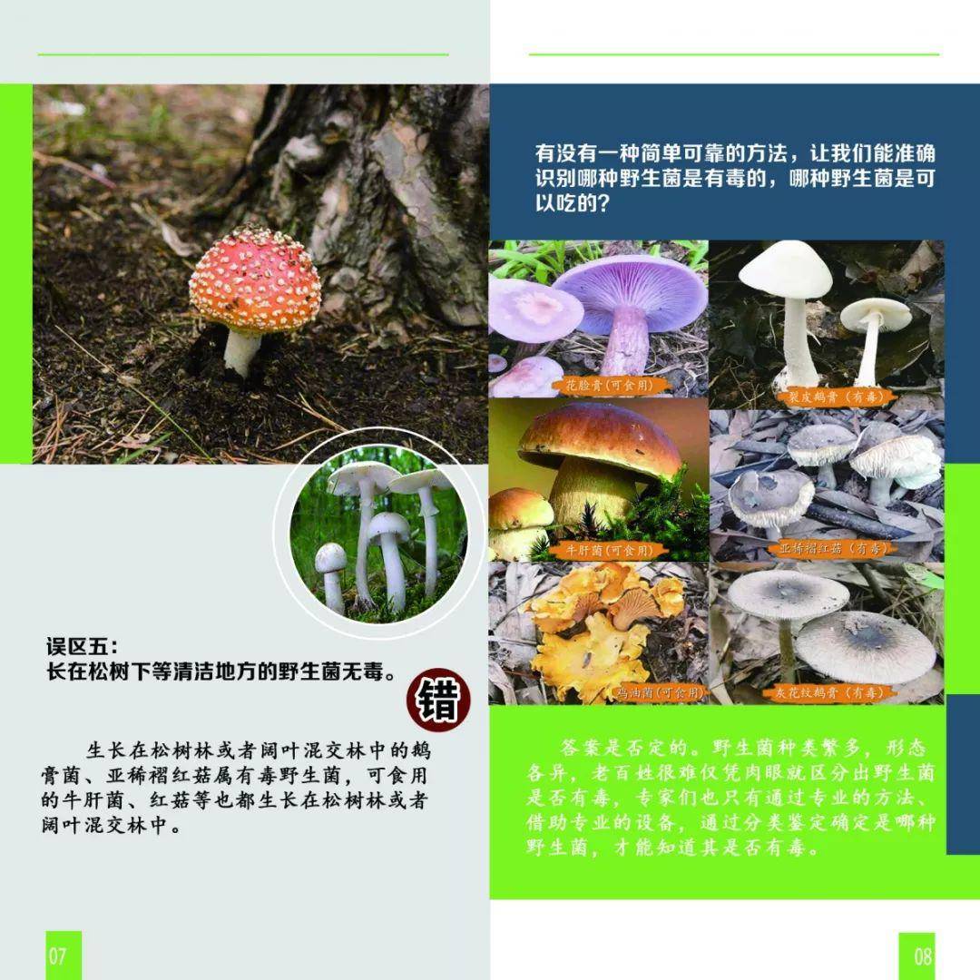 余庆县发布警示,预防食用野生菌中毒!