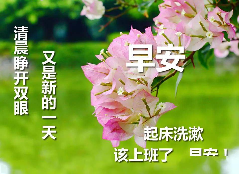 大家早上好,从六月起做一个幸福的人,早上好图片祝福