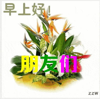 443b45966a4544a99cc29176ecfb5b85.gif