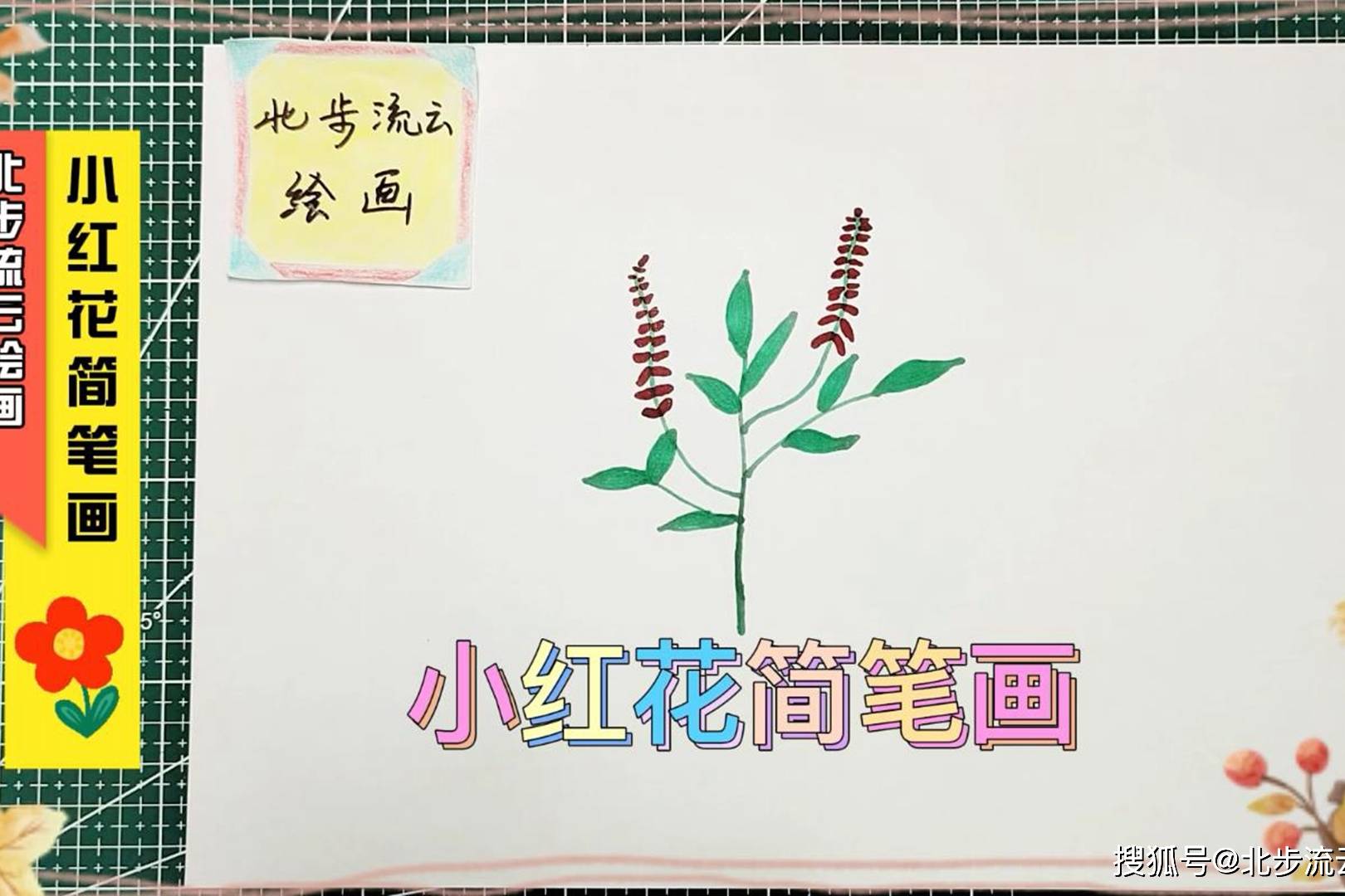 小红花简笔画适合孩子练习画画