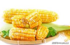 买玉米，到底是选黄色的还是白色的？先听老农怎么说，再别选错了