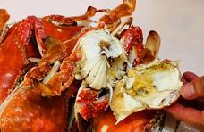 蒸螃蟹，牢记这几个窍门，不流黄不掉腿，肉质鲜嫩无腥味，特香