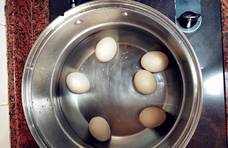 煮鸡蛋时只需加一点它，鸡蛋不开裂还自动脱壳，吃起来更香更嫩！