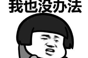 仓鼠斗图表情包搞笑图片