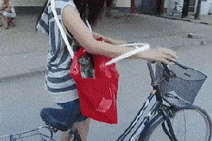 搞笑gif:这也太嚣张了吧!难道这妹子一点都没感觉到吗?