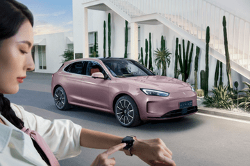 短视频剪辑小猪优版崩盘：投资人被套上亿 上万