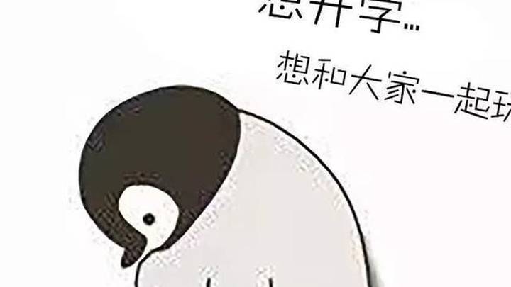 宅家防疫云赏梅,你期待吗?