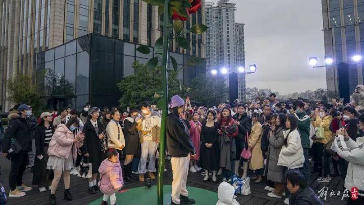 上百人排队打卡,网友心态已崩,你觉得这是诈骗吗?