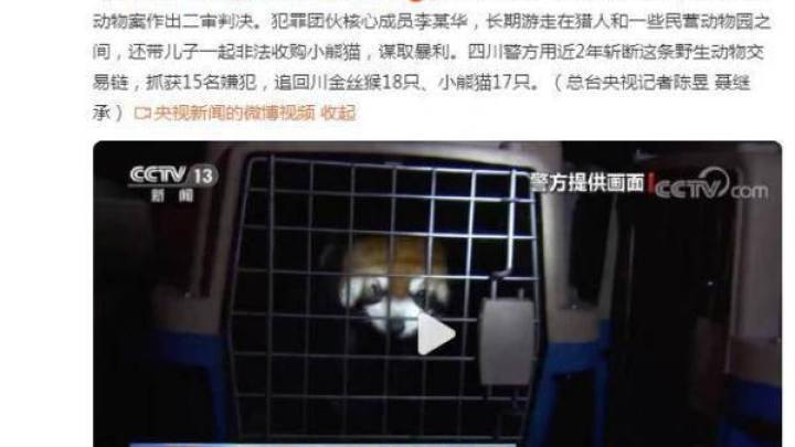 男子贩卖小熊猫、川金丝猴获刑14年,你怎么看?