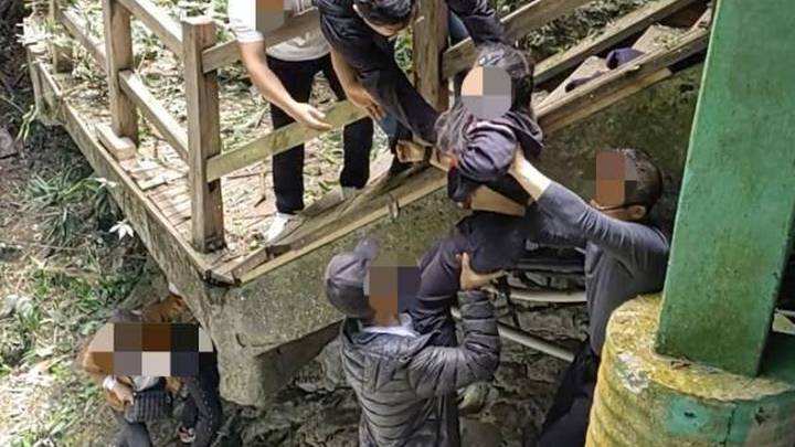 景区大树倒下砸断栈道,伤及5人,你怎么看?