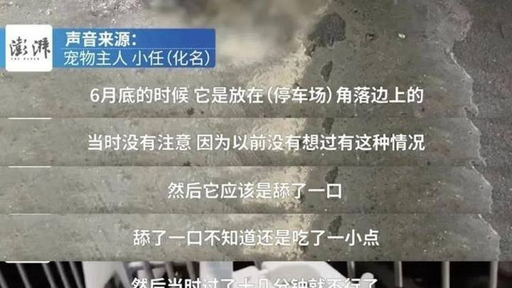 30g虐猫视频10元出售,你能接受吗?