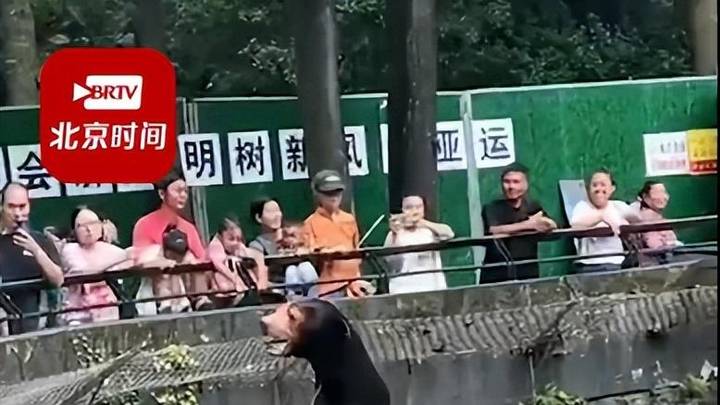 杭州动物园黑熊被疑是人扮的,你相信吗?
