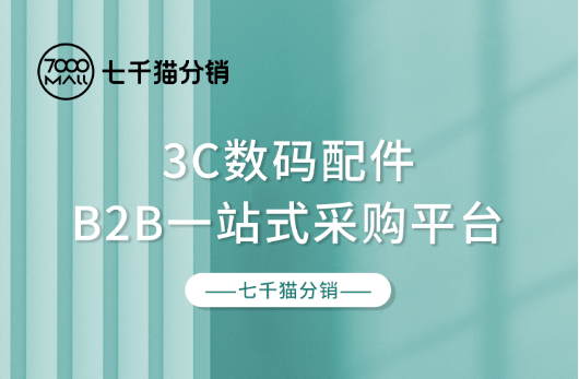 3c类数码配件市场走向何方?罗马仕如何突出"重围"