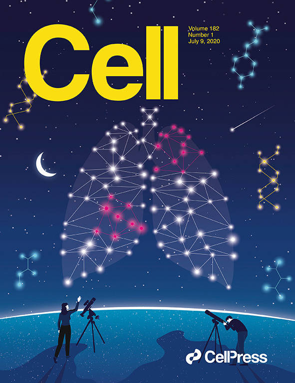 科学与艺术的结合cell100张期刊封面鉴赏2020年篇