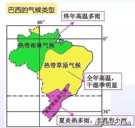 推动了巴西葡萄酒产业的快速发展,现在巴西已成为南半球第五大葡萄酒