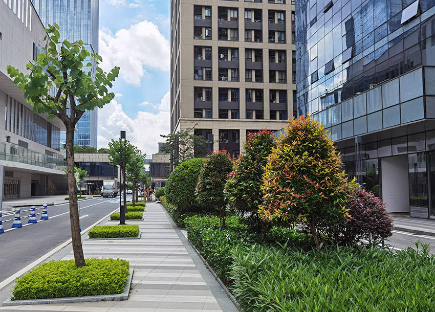 如何提高科技园绿化率广州植物租赁公司定制盆栽绿植租摆方案