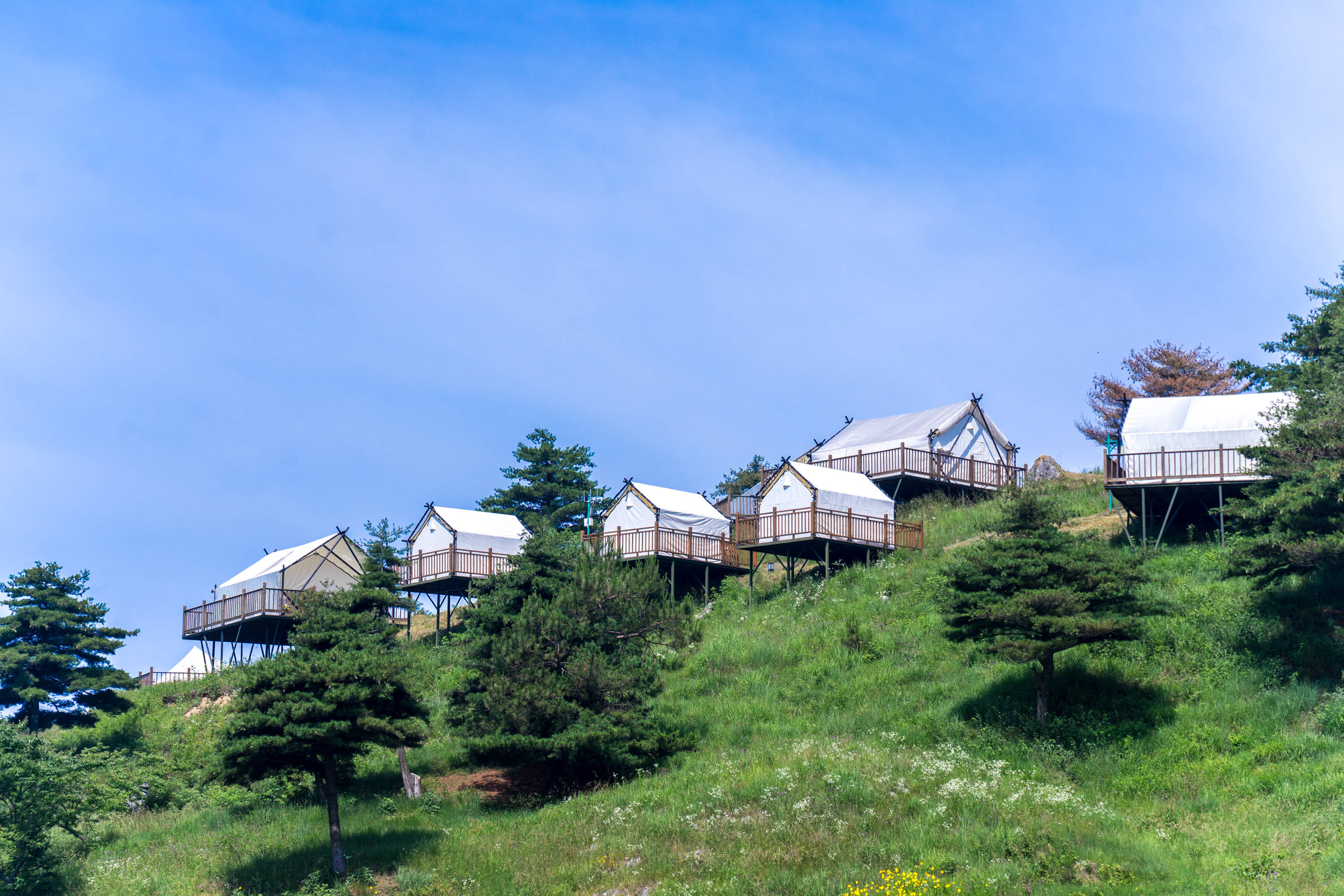 百里荒避暑攻略丨高山草原,避暑露营享清凉的自然风光