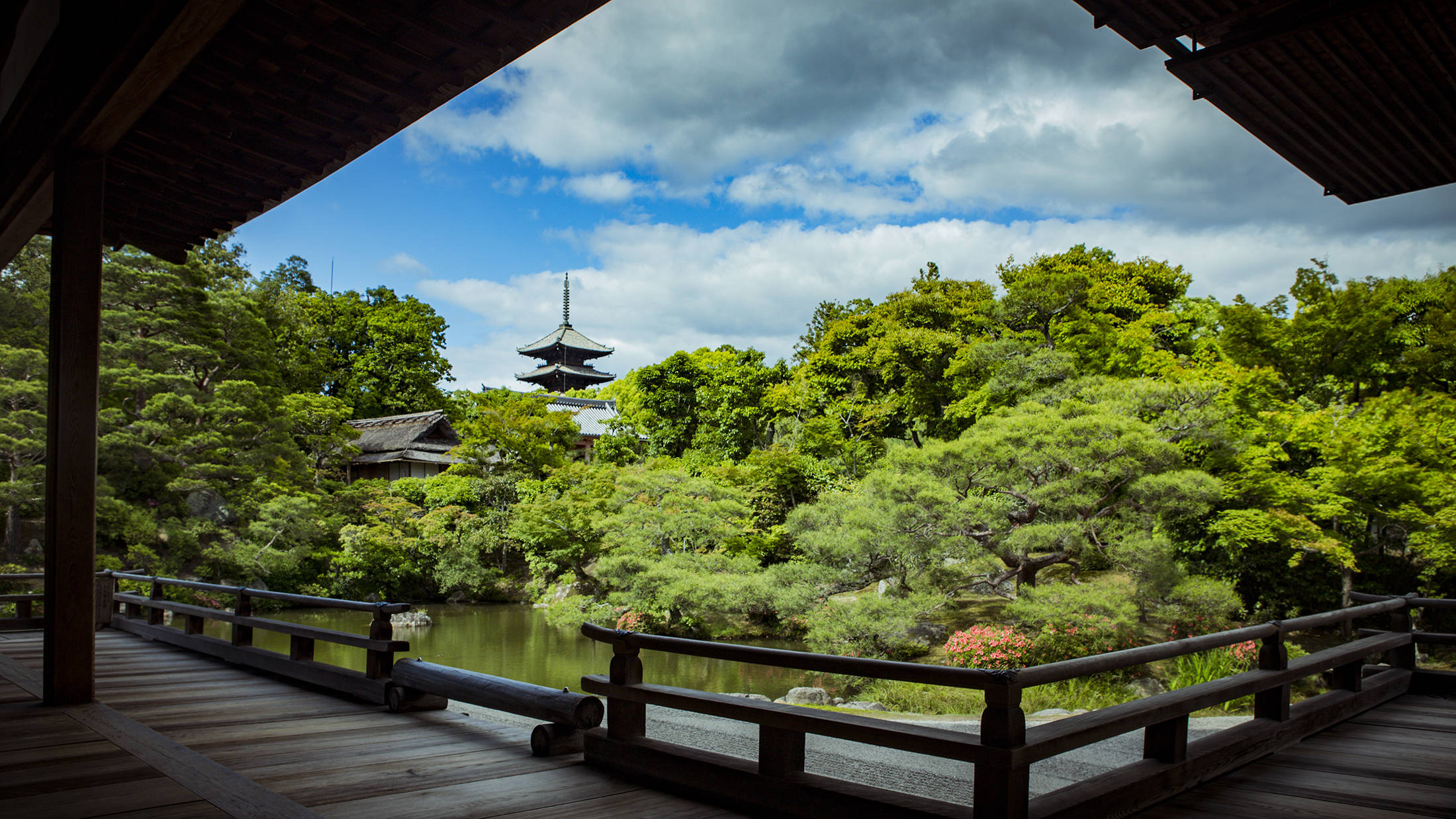 安国寺下面的照片,是本人几次参加由日本新闻社组办的摄影团在京都