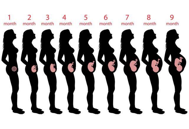 如果月经规律,28到30天月经周期,怀孕就是从末次月经来的第一天开始算