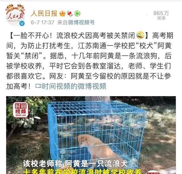 知名校犬被人民日报点名了原因居然是这个哈哈哈啊