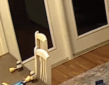 353_277gif 动态图 动图