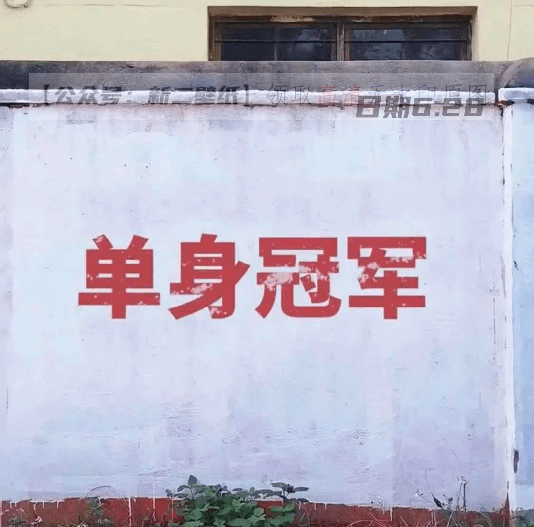 单身冠军      抖音热门 朋友圈封面 文案 背景微信