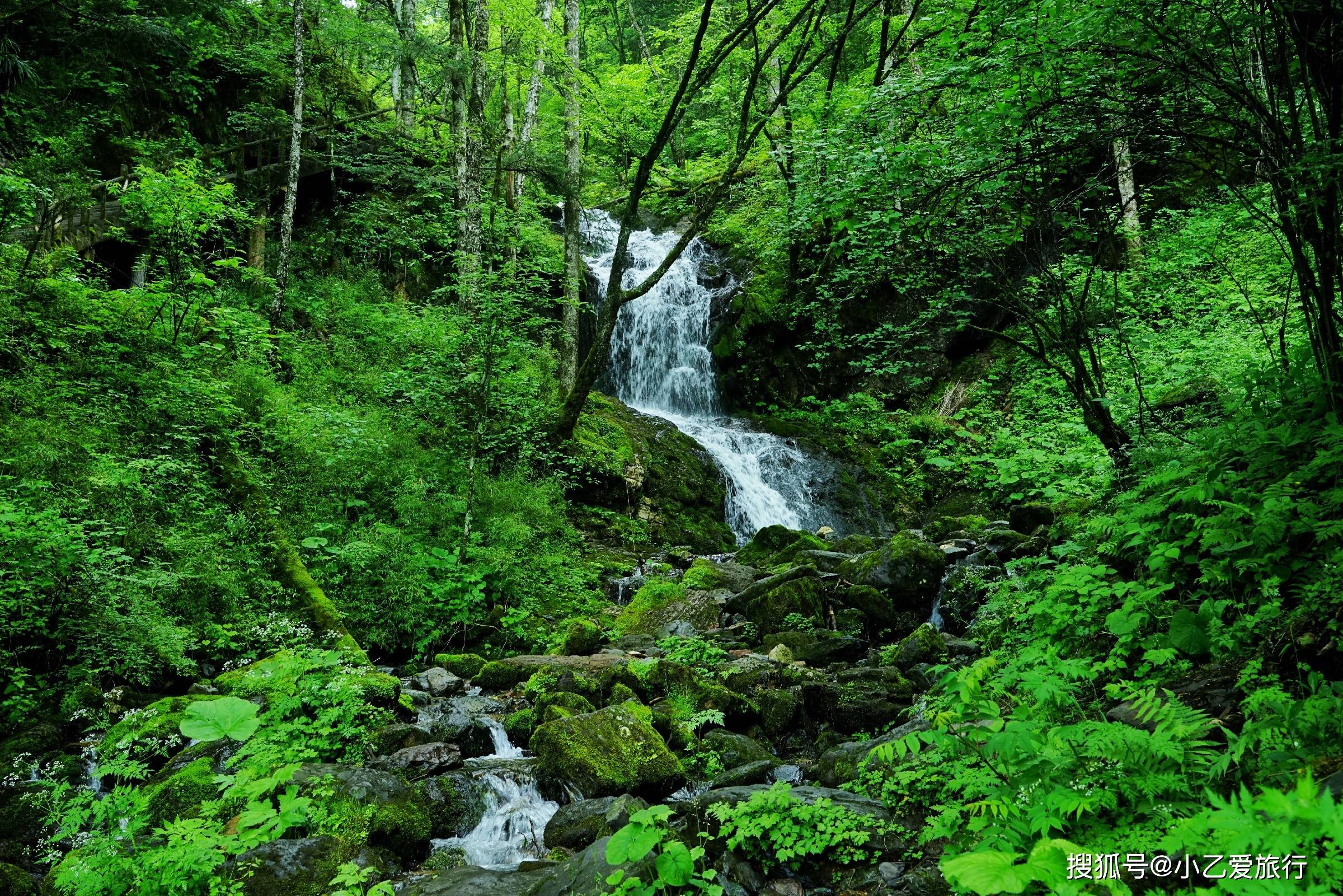 秦巴深山的"氧吧小城",隐藏了一个不要门票的"清凉世界"