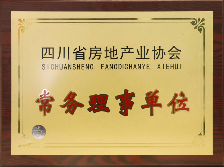 创信股份当选四川省房地产业协会常务理事单位_服务