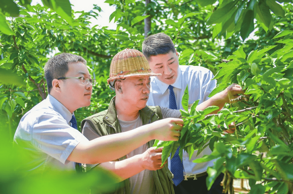 山西长治农商银行耕好支农支小"金融田"