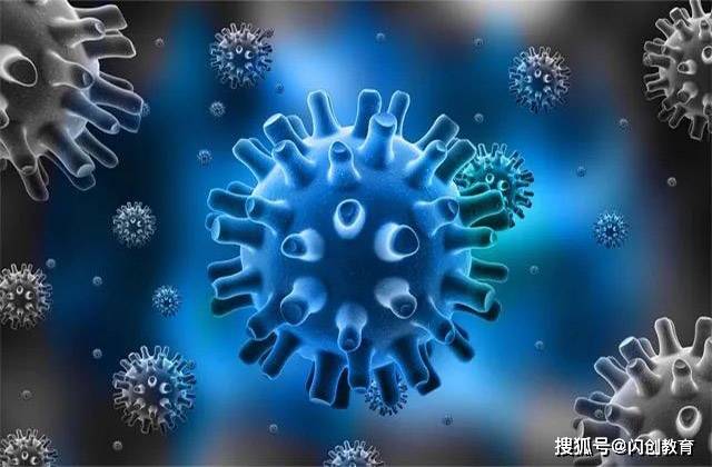 据研究,本次热搜出现的德尔塔毒株是新型冠状病毒的变异病毒,德尔塔